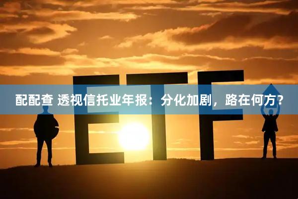 配配查 透视信托业年报：分化加剧，路在何方？